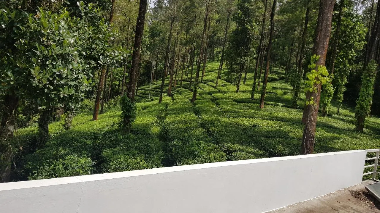 Green Tea Estate Bungalow Villa Munnar India